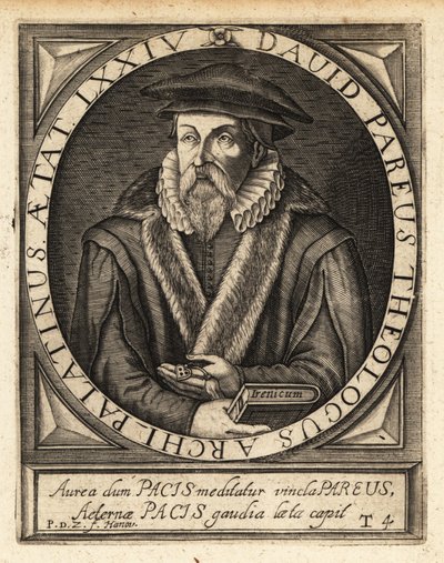 David Pareus af Theodore de Bry