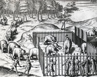 Elefantjagt i kongeriget Pegu, det nuværende Myanmar, af Theodor de Bry (1528-1598), kobberstik af Theodore de Bry