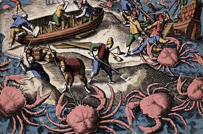 Europæiske navigatører kæmper mod stor krabbe. Gravering fra "Petities voyages aux Indes Orientales" af Theodore de Bry af Theodore de Bry