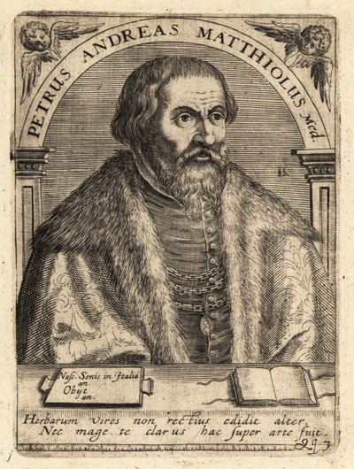 Pietro Andrea Gregorio Mattioli, italiensk læge af Theodore de Bry