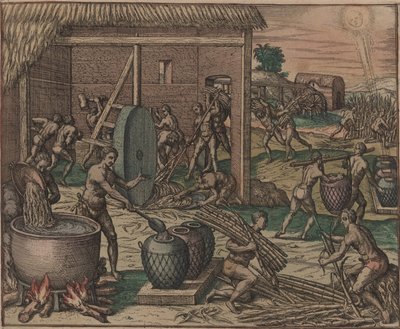 Slaver behandler sukkerrør og laver sukker, 1595. af Theodore de Bry