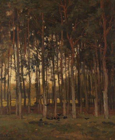 Udsigt i skoven af Theophile de Bock