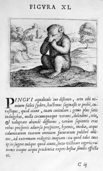 Profetifigur XI fra Prognostication of the Eximii Doctor Paracelsus, 1536 af Theophrastus Bombastus von Hohenheim Paracelsus