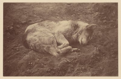[Sleeping Dog] af Théodule Devéria