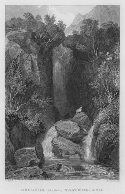 Dungeon Gill, Westmorland (gravering) af Thomas (after) Allom