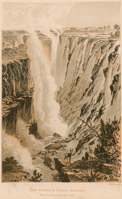 Victoria Falls af Thomas Baines