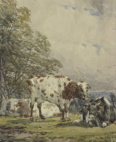 En undersøgelse af kvæg, 1800-tallet af Thomas Baker
