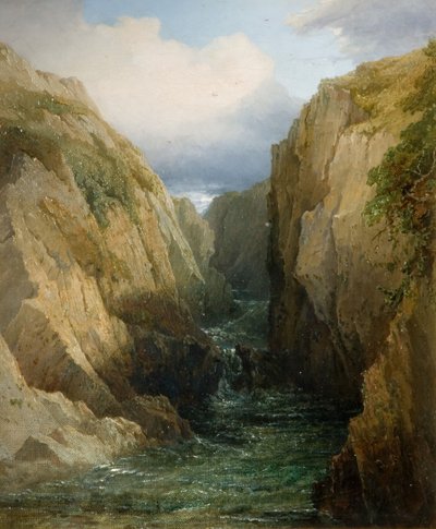 Gorge And River i Irland, 1860. af Thomas Baker