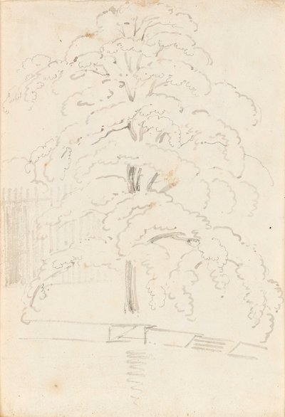 Et studie af et træ over vand (bagside) af Thomas Baxter