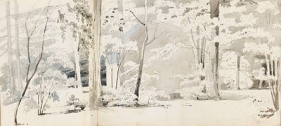 Et lysthus omgivet af træer (recto) af Thomas Baxter