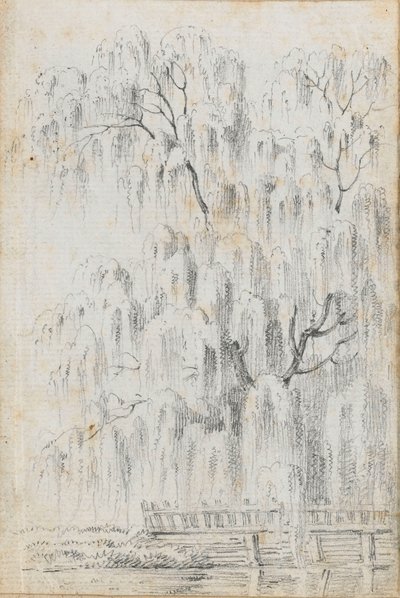 Studie af et træ, der hænger ud over vandet ved Merton (recto) af Thomas Baxter