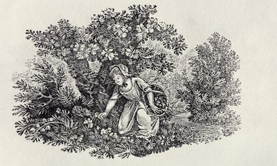 En pige, der samler blomster fra 