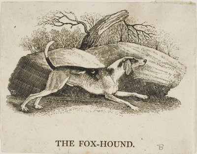 Rævehund af Thomas Bewick