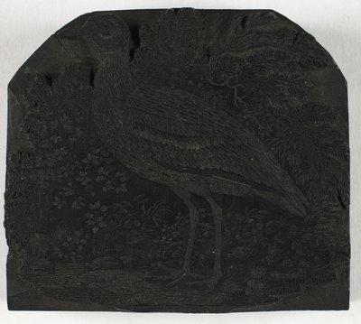 Træblok til The Great Plover, fra A History of British Birds af Thomas Bewick