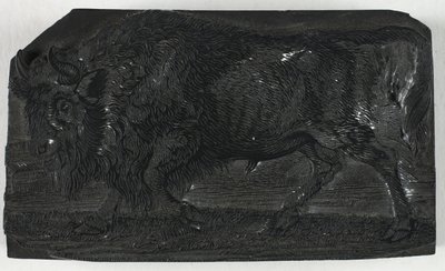 Træblok til Urus eller Vild Tyr, fra A General History of Quadrupeds af Thomas Bewick