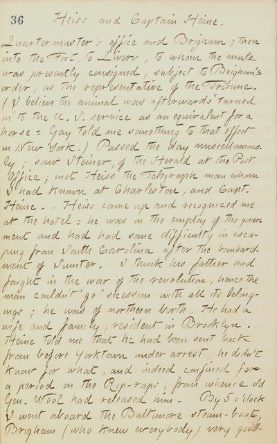 Thomas Butler Gunn Diaries- bind 20, side 44, 4. juni 1862 af Thomas Butler Gunn