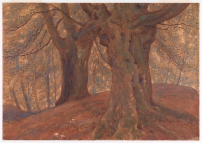 Burnham Beeches af Thomas Charles Farrer