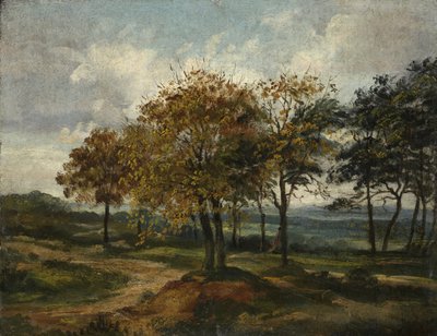 Skovklædt Landskab af Thomas Churchyard