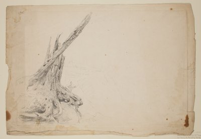 Brudt stamme af et træ (blyant på papir) af Thomas Cole