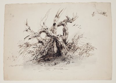 Knudrede træstammer, ca. 1826 (pen og blæk over grafit på papir) af Thomas Cole
