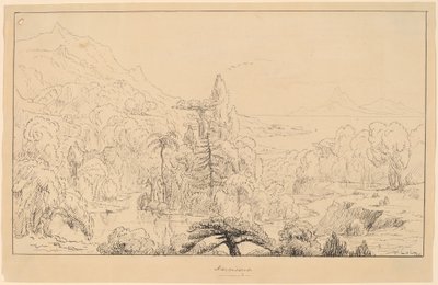 Narcissus [lige] af Thomas Cole