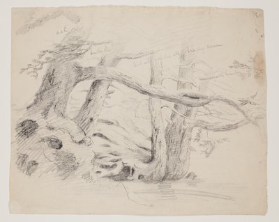 Eg og hemlock træer (blyant på papir) af Thomas Cole
