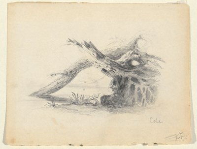 Skitse af to døde træer af Thomas Cole