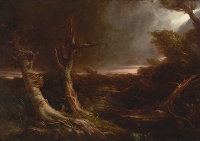Tornado i en amerikansk skov af Thomas Cole