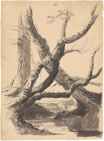 Træstammer af Thomas Cole