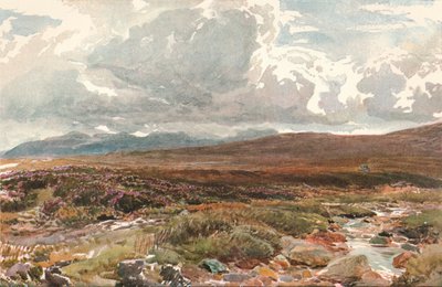 A Sussex Common, c1889 af Thomas Collier