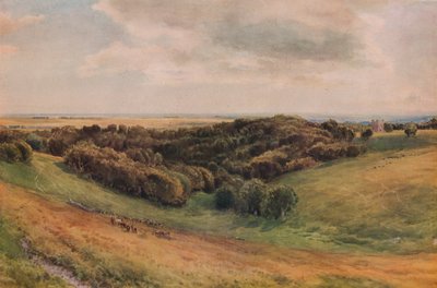 Arundel Park, 1874 af Thomas Collier
