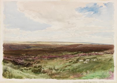 Moorland nær Hart Leap Well, Yorkshire (akvarel på papir) af Thomas Collier