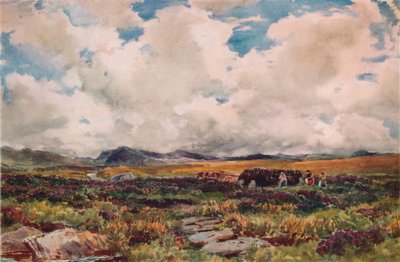 Stabling af tørv, Festiniog, North Wales, 1881 af Thomas Collier