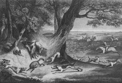 Rævens død, 1793. af Thomas Cook