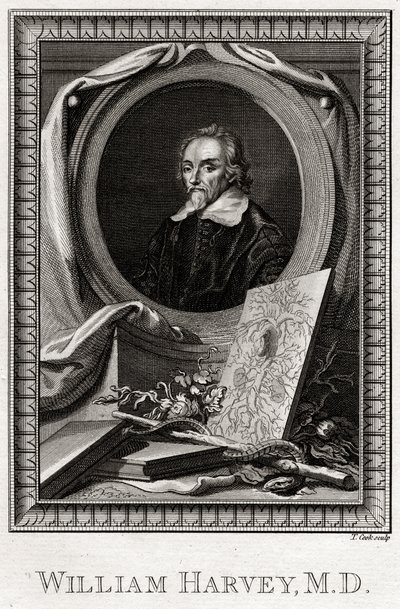 William Harvey, 1777 af Thomas Cook