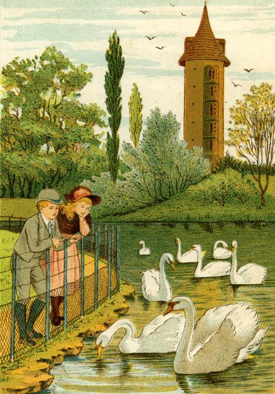 Paris Zoo - børn ser på svaner af Thomas Crane