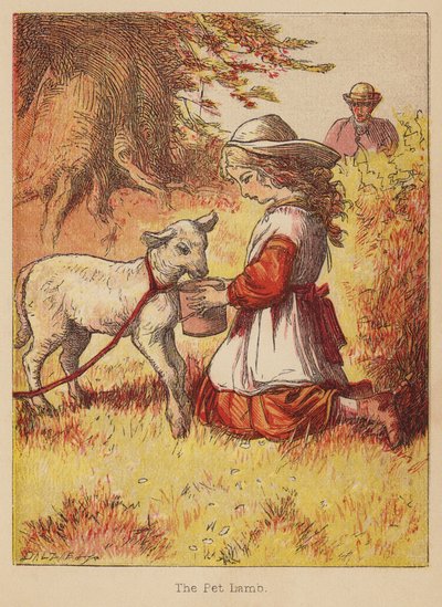 Kæledyrslammet (farvelagt gravering) af Thomas Dalziel