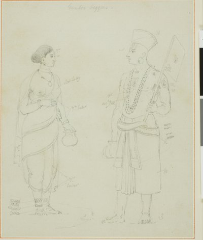 Gintoo tiggere af Thomas Daniell