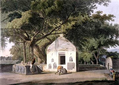 The Sacred Tree of the Hindoos, i Gyah, Bahar, fra 