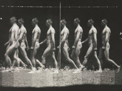 [Man Walking, Stroboscopic Photograph], 1880
