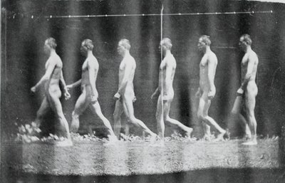 Marey Wheel-fotografier af Jesse Godley, 1884. af Thomas Eakins