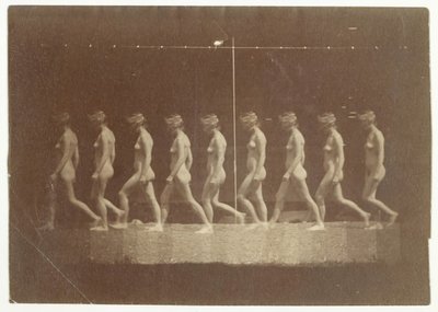 Marey Wheel-fotografier af uidentificeret model, 1884. af Thomas Eakins