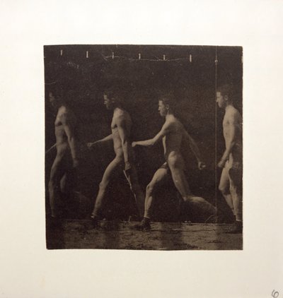 Marey Wheel-fotografier af uidentificeret model, ca. 1884. af Thomas Eakins