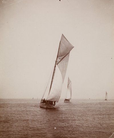 [Sejlbåde] af Thomas Eakins