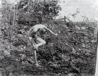 Tornetrækker, ca. 1883. af Thomas Eakins