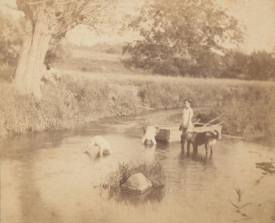 [Tre børn og en hund, der leger i åen, 4. juli 1883], 1883., 1883. af Thomas Eakins
