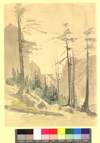  af Thomas Ender