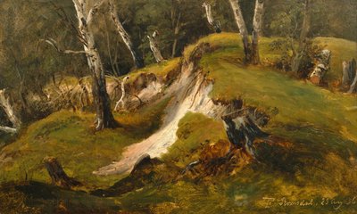 Birck-lagre i Romsdal af Thomas Fearnley