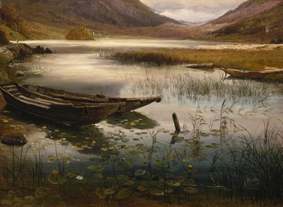 Både og åkander af Thomas Fearnley