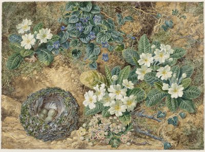Stilleben af ​​en fuglerede, violer, primulaer og æbleblomster af Thomas Frederick Collier